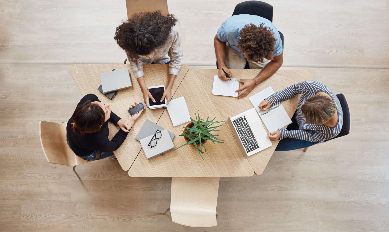 كانغارو الرياضيات الإختبار التحضيري